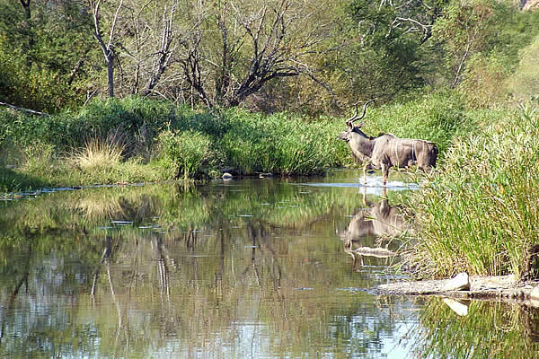 baviaanskloof