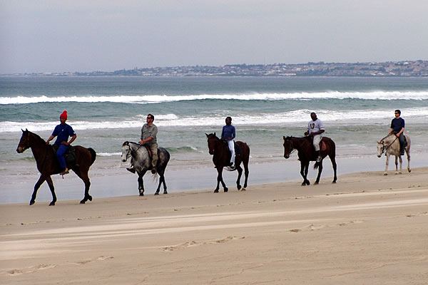 beachrides