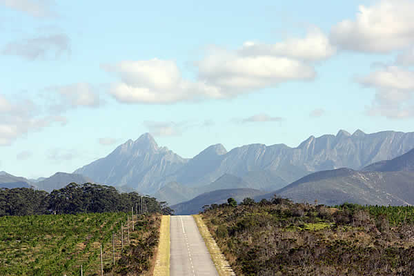 tsitsikamma1 (1)
